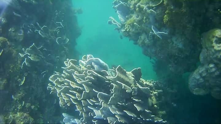 Coco Cabana Romblon Agpanabat Eksteriør billede
