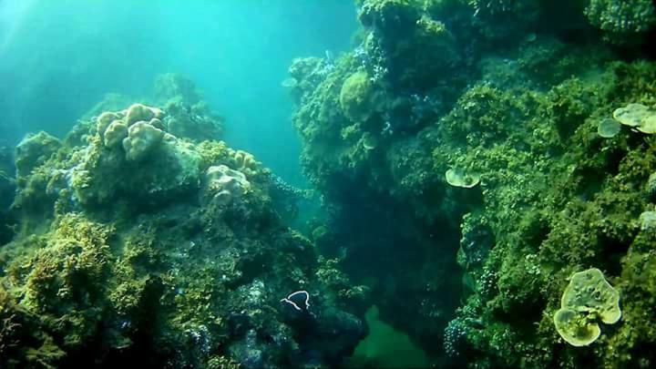 Coco Cabana Romblon Agpanabat Eksteriør billede