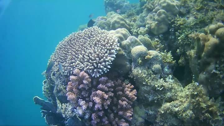 Coco Cabana Romblon Agpanabat Eksteriør billede